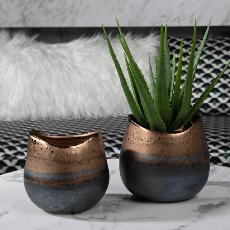 Saksija Hagar AD-0034J1 dve