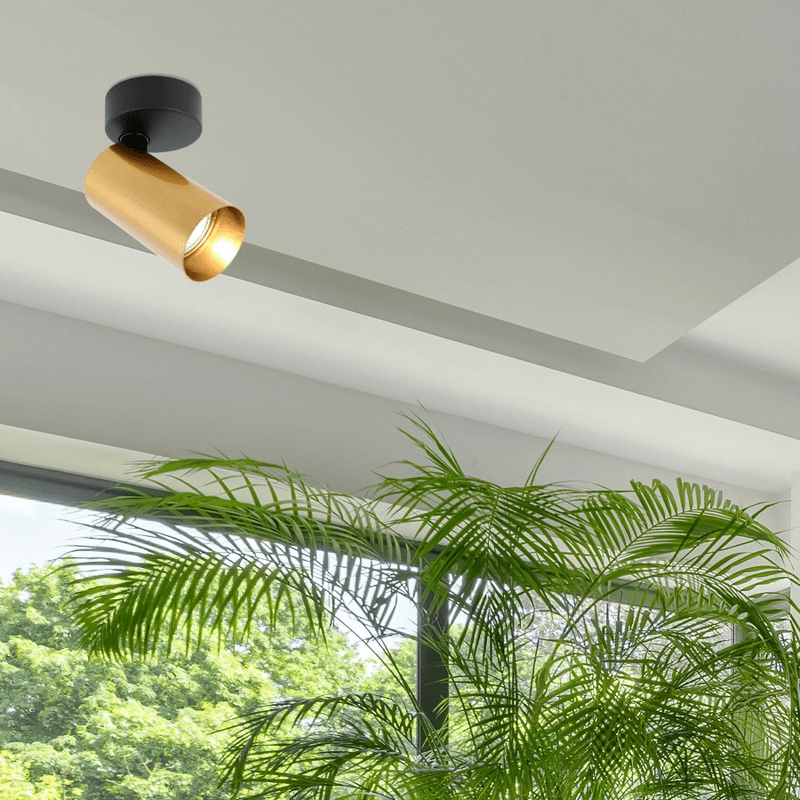 Spot lampa Frankfurt ML-2701-01, biljka