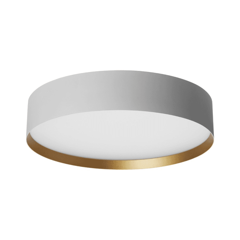 Plafonjera LED Arneta MSL-0291H